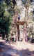 95-96-alcaucin-1.jpg