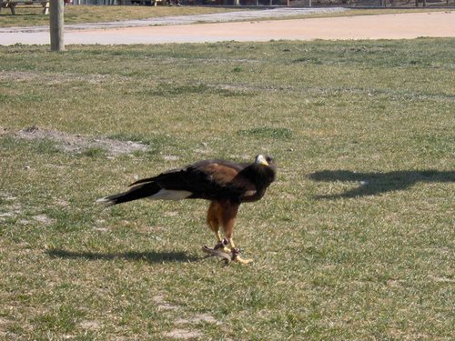 Visita al Parque de las Ciencias