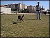 Visita al Parque de las Ciencias junto a la Tropa y otras colonias