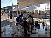 Visita al Parque de las Ciencias junto a la Tropa y otras colonias