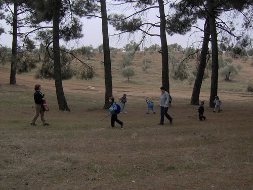 Excursin a Puerto Lobo