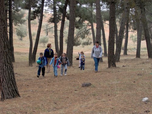 Excursin a Puerto Lobo
