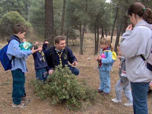 Excursin a Puerto Lobo