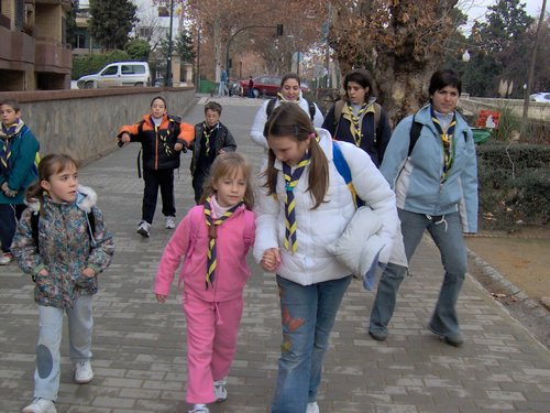 Castores y Lobatos en la Fuente de la Bicha
14 enero 2006 - Foto 1