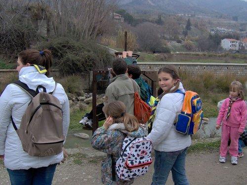 Castores y Lobatos en la Fuente de la Bicha
14 enero 2006 - Foto 13