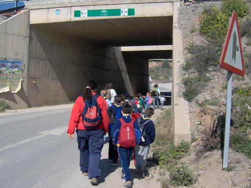 Excursi�n a la Ermita de los Tres Juanes
Sierra Elvira (Atarfe) - 11 marzo 2006 - Foto 20