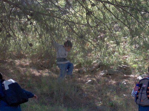 Excursi�n a la Ermita de los Tres Juanes
Sierra Elvira (Atarfe) - 11 marzo 2006 - Foto 41
