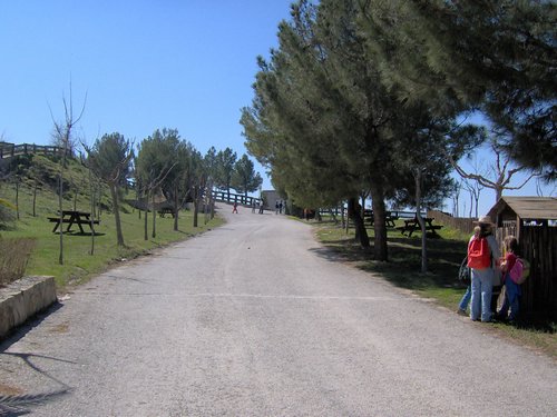 Excursin a la Ermita de los Tres Juanes
Sierra Elvira (Atarfe) - 11 marzo 2006 - Foto 48