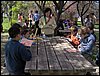 Campamento Nen�far 2006 en Armilla el 25 y 26 de marzo de 2006