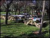 Campamento Nen�far 2006 en Armilla el 25 y 26 de marzo de 2006