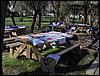 Campamento Nen�far 2006 en Armilla el 25 y 26 de marzo de 2006