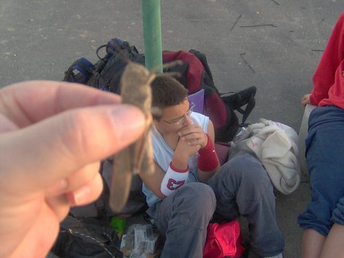 Acampada en BENAB�HA. (Benal�a)
18 y 19 de noviembre de 2006 - Foto 54