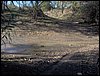 Acampada en BENAB�HA. (Benal�a)
18 y 19 de noviembre de 2006
