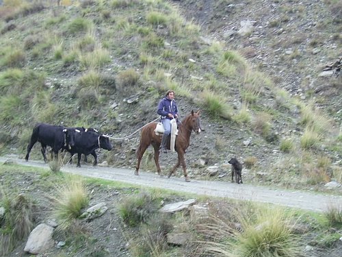 Excursi�n a Sierra Nevada el 2 de diciembre de 2006 - Foto 88
