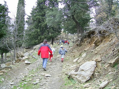 Excursi�n a Sierra Nevada el 2 de diciembre de 2006 - Foto 91