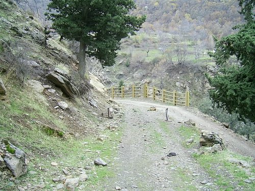 Excursi�n a Sierra Nevada el 2 de diciembre de 2006 - Foto 94
