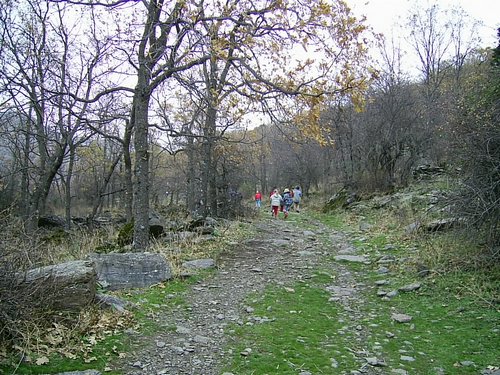 Excursi�n a Sierra Nevada el 2 de diciembre de 2006 - Foto 96