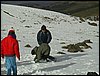 Excursi�n a Sierra Nevada el 2 de diciembre de 2006