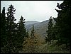 Excursi�n a Sierra Nevada el 2 de diciembre de 2006