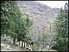 Excursi�n a Sierra Nevada el 2 de diciembre de 2006