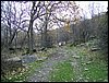 Excursi�n a Sierra Nevada el 2 de diciembre de 2006