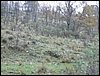 Excursi�n a Sierra Nevada el 2 de diciembre de 2006