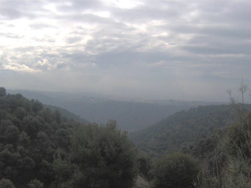 Excursi�n al Llano de la Perdiz el 3 de febrero de 2007 - Foto 31