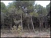 Excursi�n al Llano de la Perdiz el 3 de febrero de 2007