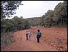 Excursi�n al Llano de la Perdiz el 3 de febrero de 2007