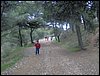 Excursi�n al Llano de la Perdiz el 3 de febrero de 2007