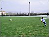 Colonia y lobatos  - 17 de Marzo de 2007