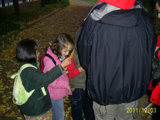 Salida con el Fenix y Genil - Granada, 03 de diciembre de 2011 - Foto 13