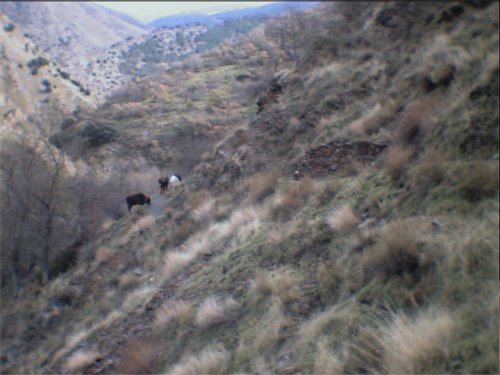 Subida al Refugio de la Cucaracha - 15 y 16 de noviembre de 2003 - Foto 22