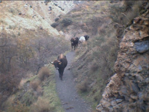 Subida al Refugio de la Cucaracha - 15 y 16 de noviembre de 2003 - Foto 23
