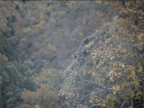 Subida al Refugio de la Cucaracha - 15 y 16 de noviembre de 2003 - Foto 24