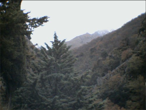 Subida al Refugio de la Cucaracha - 15 y 16 de noviembre de 2003 - Foto 28