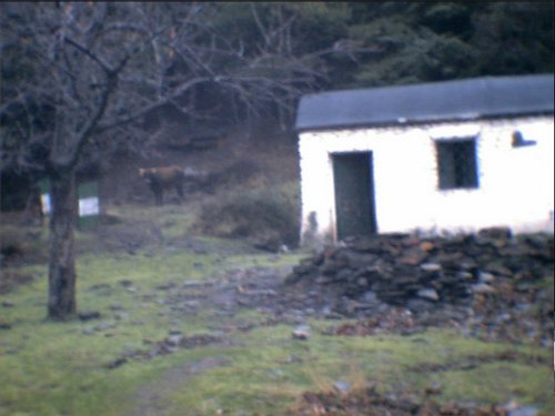 Subida al Refugio de la Cucaracha - 15 y 16 de noviembre de 2003 - Foto 41
