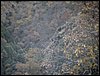 Subida al Refugio de la Cucaracha - 15 y 16 de noviembre de 2003