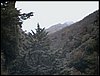 Subida al Refugio de la Cucaracha - 15 y 16 de noviembre de 2003