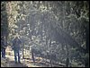 Subida al Refugio de la Cucaracha - 15 y 16 de noviembre de 2003