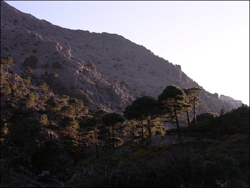 JTX009.JPG