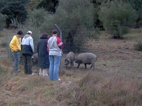 Descubierta en Ronda - Foto 34