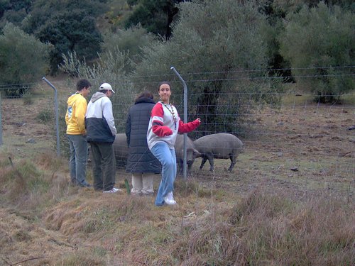 Descubierta en Ronda - Foto 35