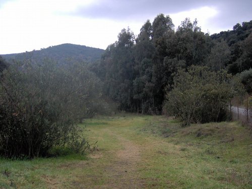 Descubierta en Ronda - Foto 40