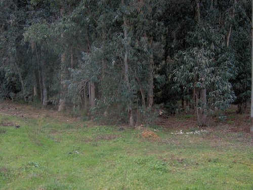 Descubierta en Ronda - Foto 43