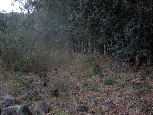 Descubierta en Ronda - Foto 44