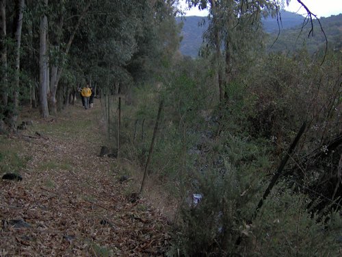 Descubierta en Ronda - Foto 47