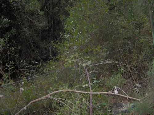 Descubierta en Ronda - Foto 48