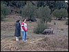 Descubierta en Ronda - 5 febrero 2005