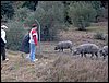 Descubierta en Ronda - 5 febrero 2005